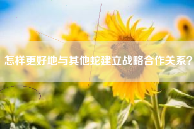 怎样更好地与其他蛇建立战略合作关系？  第1张
