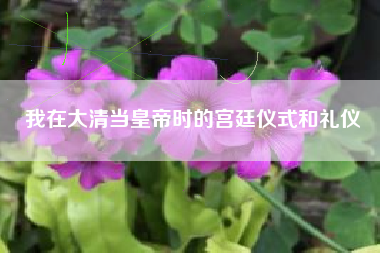 我在大清当皇帝时的宫廷仪式和礼仪  第1张