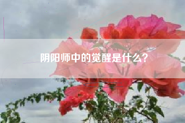 阴阳师中的觉醒是什么？  第1张