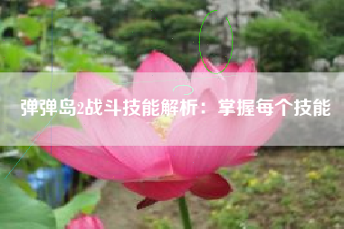 弹弹岛2战斗技能解析：掌握每个技能  第1张