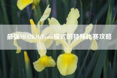 最强NBA2KMyTeam模式的特殊比赛攻略  第1张