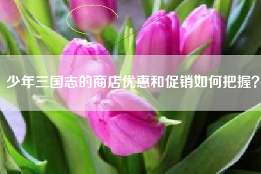 少年三国志的商店优惠和促销如何把握？  第1张