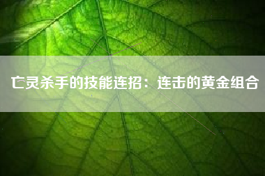 亡灵杀手的技能连招：连击的黄金组合  第1张