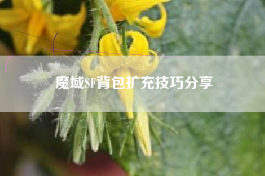 魔域SF背包扩充技巧分享  第1张
