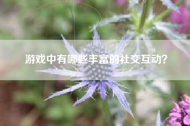 游戏中有哪些丰富的社交互动？  第1张