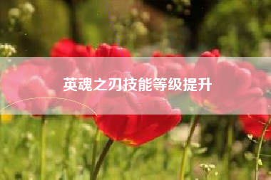 英魂之刃技能等级提升  第1张