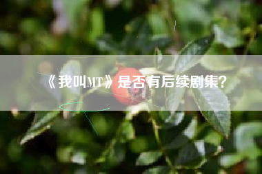 《我叫MT》是否有后续剧集？  第1张