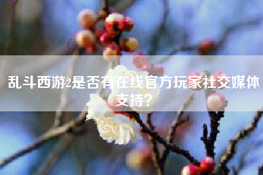乱斗西游2是否有在线官方玩家社交媒体支持？  第1张
