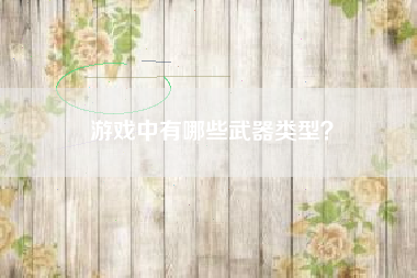 游戏中有哪些武器类型？  第1张
