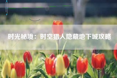 时光秘境：时空猎人隐藏地下城攻略  第1张