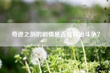 奇迹之剑的剧情是否有政治斗争？  第1张