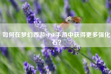 如何在梦幻西游SFSF手游中获得更多强化石？  第1张