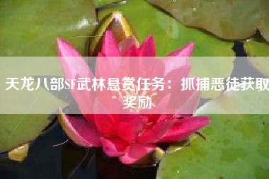 天龙八部SF武林悬赏任务：抓捕恶徒获取奖励  第1张