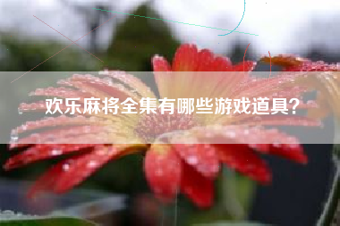 欢乐麻将全集有哪些游戏道具？  第1张