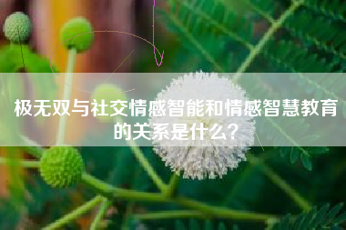 极无双与社交情感智能和情感智慧教育的关系是什么？  第1张