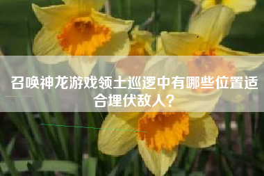 召唤神龙游戏领土巡逻中有哪些位置适合埋伏敌人？  第1张