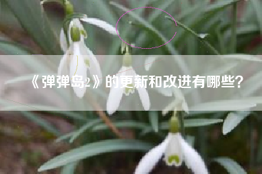 《弹弹岛2》的更新和改进有哪些？  第1张