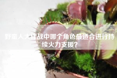野蛮人大作战中哪个角色最适合进行持续火力支援？  第1张