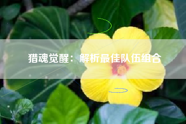 猎魂觉醒：解析最佳队伍组合  第1张