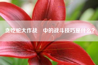 贪吃蛇大作战®中的战斗技巧是什么？  第1张