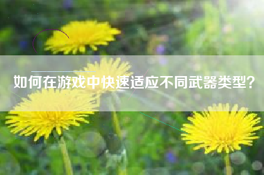 如何在游戏中快速适应不同武器类型？  第1张