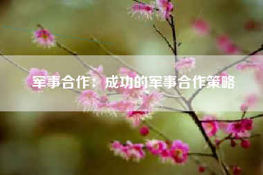 军事合作：成功的军事合作策略  第1张