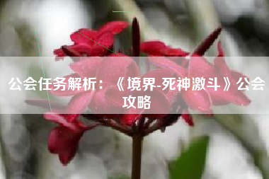 公会任务解析：《境界-死神激斗》公会攻略  第1张