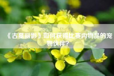 《古墓丽影》如何获得比赛内物品的宠物伙伴？  第1张