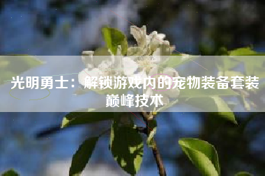 光明勇士：解锁游戏内的宠物装备套装巅峰技术  第1张