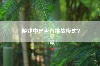 游戏中是否有挑战模式？  第1张