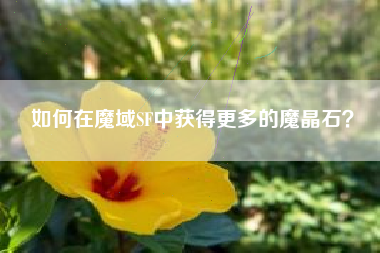 如何在魔域SF中获得更多的魔晶石？  第1张
