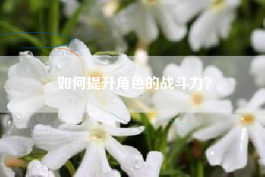 如何提升角色的战斗力？  第1张