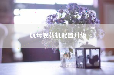 航母舰载机配置升级  第1张