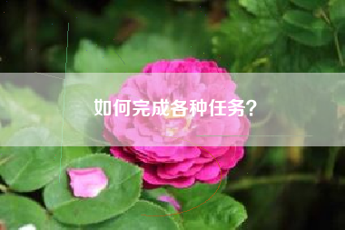 如何完成各种任务？  第1张