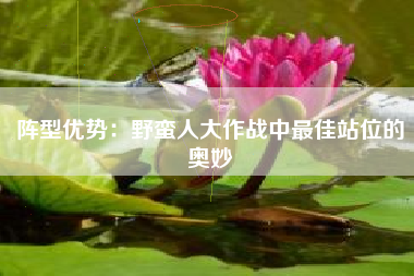 阵型优势：野蛮人大作战中最佳站位的奥妙  第1张