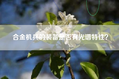 合金机兵的装备是否有光谱特性？  第1张