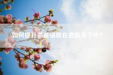如何提升装备强度在君临天下中？  第1张