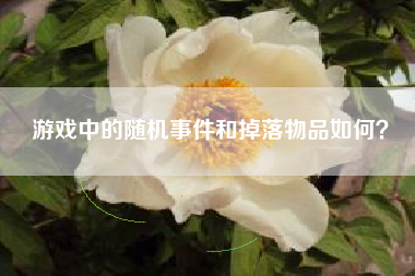 游戏中的随机事件和掉落物品如何？  第1张