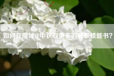 如何在魔域SF中获取更多的转职技能书？  第1张