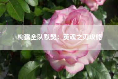 构建全队默契：英魂之刃攻略  第1张