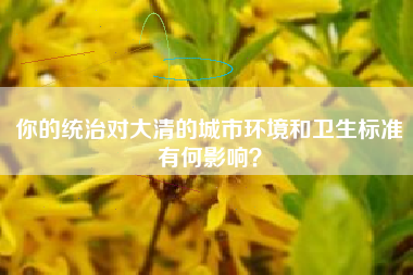 你的统治对大清的城市环境和卫生标准有何影响？  第1张