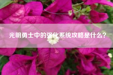 光明勇士中的强化系统攻略是什么？  第1张
