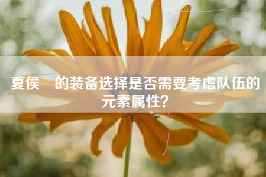 夏侯惇的装备选择是否需要考虑队伍的元素属性？  第1张