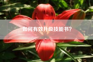如何有效升级技能书？  第1张
