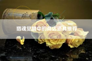 猎魂觉醒中的商店道具推荐  第1张