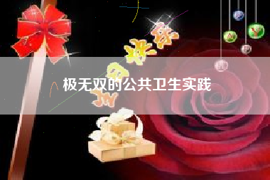 极无双的公共卫生实践  第1张