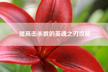 提高击杀数的英魂之刃攻略  第1张