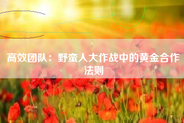 高效团队：野蛮人大作战中的黄金合作法则  第1张
