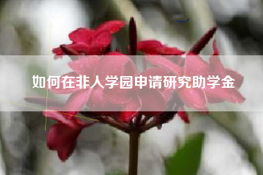 如何在非人学园申请研究助学金  第1张