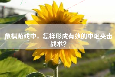 象棋游戏中，怎样形成有效的中炮夹击战术？  第1张